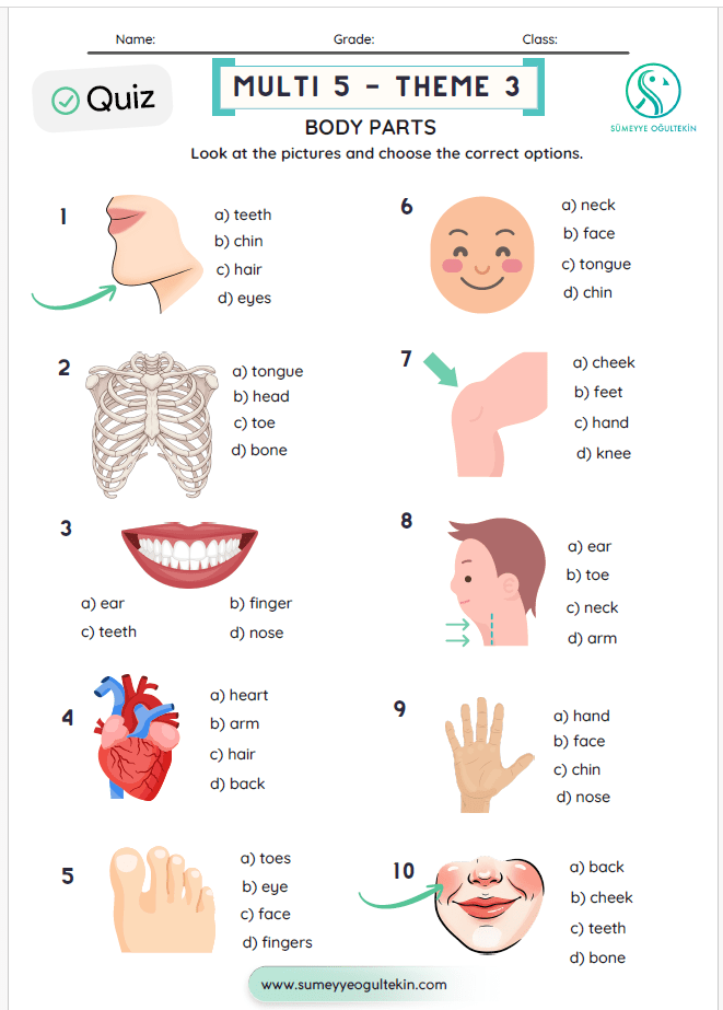 Multi 5 - Theme 3 Body Parts QUIZ